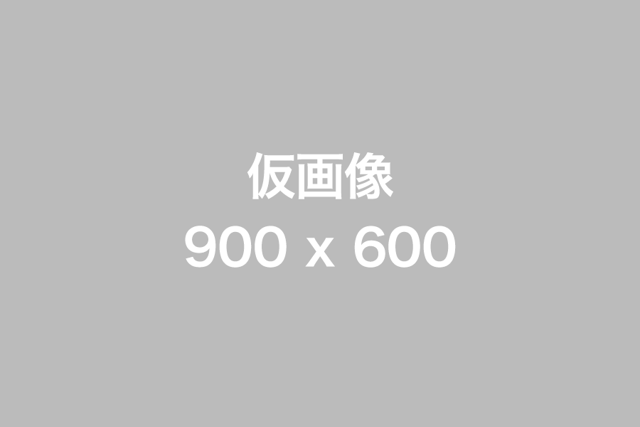 仮イメージ