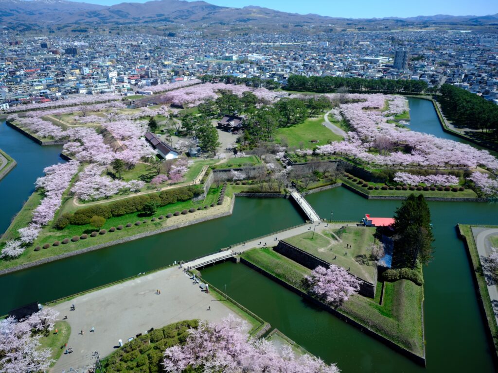 五稜郭 桜の時期