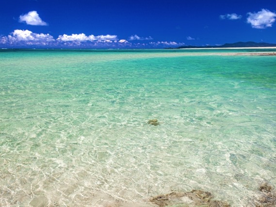 久米島 ハテの浜の白い砂浜と青い海